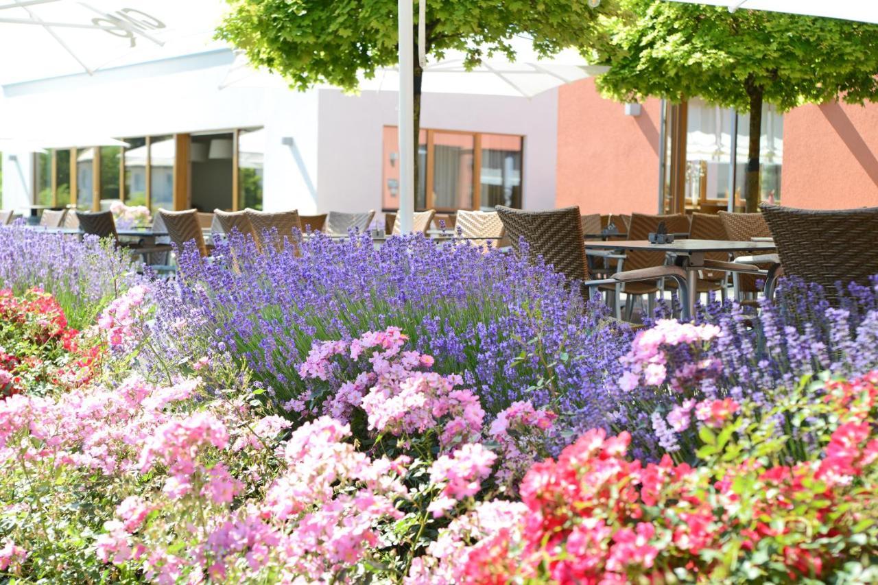 Hotel Weinkulturgut Longen-Schloeder à Longuich Extérieur photo